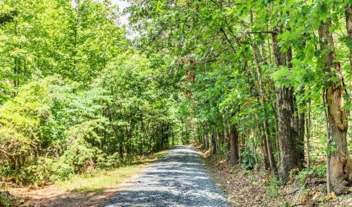 Photo #82 of 1370 Moonlight Road, Appomattox, VA 186.6 acres