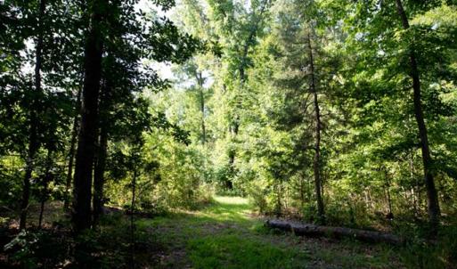 Photo #67 of 385 Asal, Cumberland, VA 21.5 acres