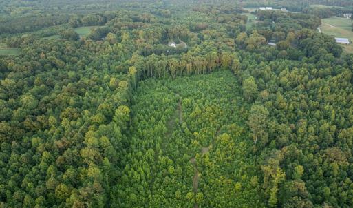 Photo #68 of 385 Asal, Cumberland, VA 21.5 acres