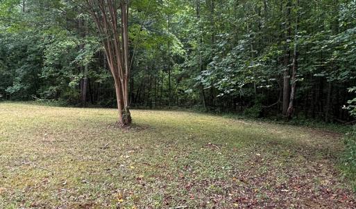 Photo #19 of 830 Weaver Rd, Green Bay, VA 8.4 acres