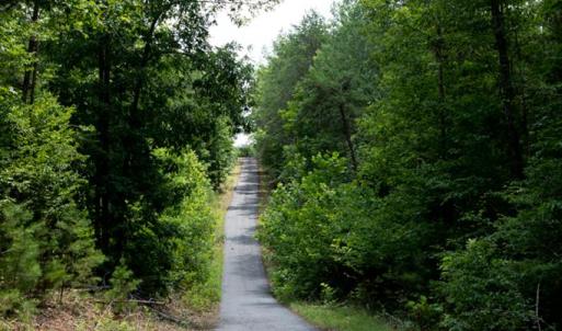Photo #34 of 1487 Spencer, Dillwyn, VA 4.4 acres