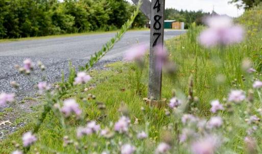 Photo #35 of 1487 Spencer, Dillwyn, VA 4.4 acres