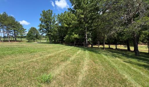 Photo #23 of 258 Willow Oak Road, Appomattox, VA 9.6 acres