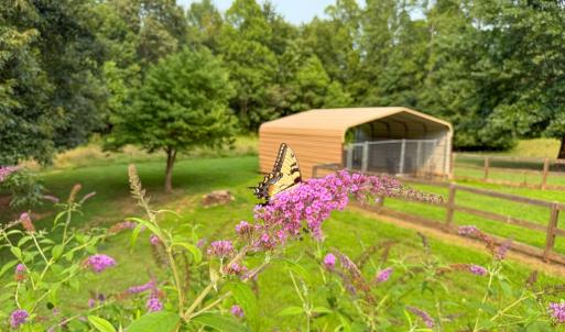 Photo #23 of 6688 Old Buckingham Road, Powhatan, VA 10.0 acres