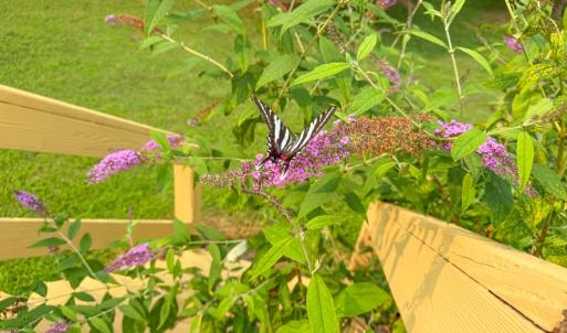 Photo #28 of 6688 Old Buckingham Road, Powhatan, VA 10.0 acres