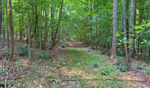 Photo #30 of 6688 Old Buckingham Road, Powhatan, VA 10.0 acres