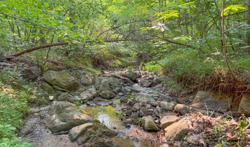 Photo #32 of 6688 Old Buckingham Road, Powhatan, VA 10.0 acres