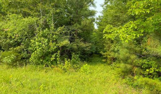 Photo #33 of 6688 Old Buckingham Road, Powhatan, VA 10.0 acres