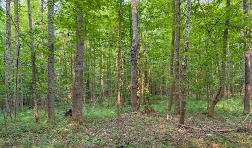 Photo #36 of 6688 Old Buckingham Road, Powhatan, VA 10.0 acres