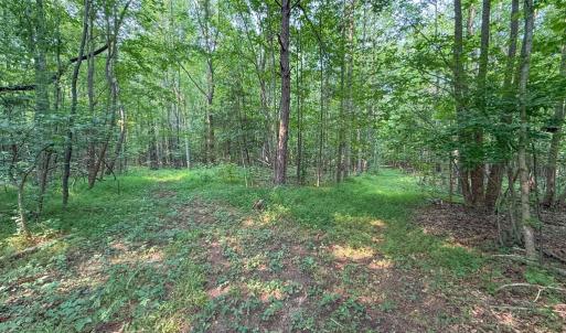 Photo #38 of 6688 Old Buckingham Road, Powhatan, VA 10.0 acres