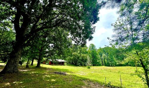 Photo #13 of 205 Hardtimes Road, Farmville, VA 3.2 acres