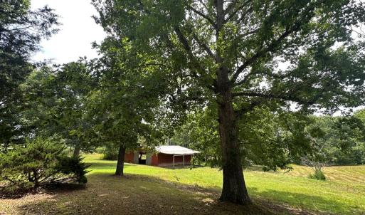 Photo #14 of 205 Hardtimes Road, Farmville, VA 3.2 acres