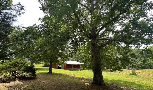 Photo #17 of 205 Hardtimes Road, Farmville, VA 3.2 acres