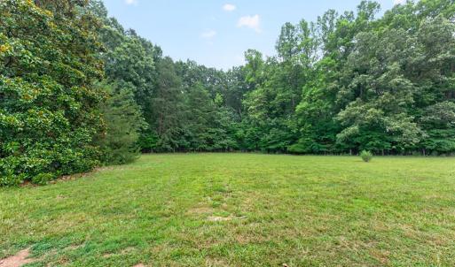 Side Yard