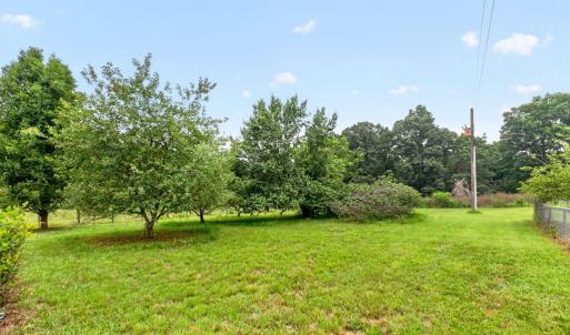 Back Yard w/Fruit Trees