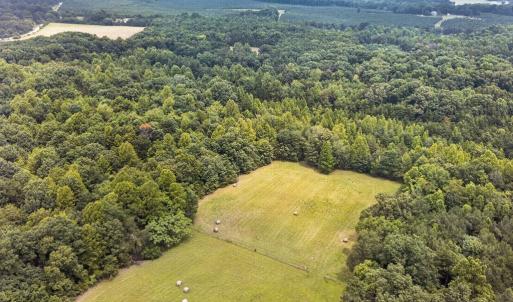 Overhead 2 Pastures Side/Back