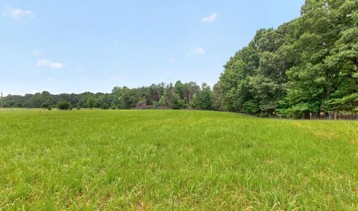 Front Field