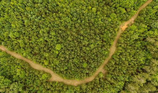 Photo #71 of 2392 Rehoboth Rd, Lunenburg, VA 29.8 acres