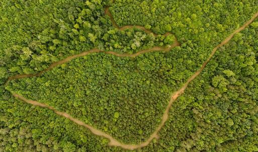Photo #72 of 2392 Rehoboth Rd, Lunenburg, VA 29.8 acres
