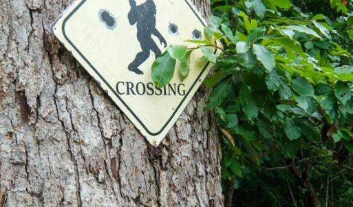 Photo #84 of 2392 Rehoboth Rd, Lunenburg, VA 29.8 acres