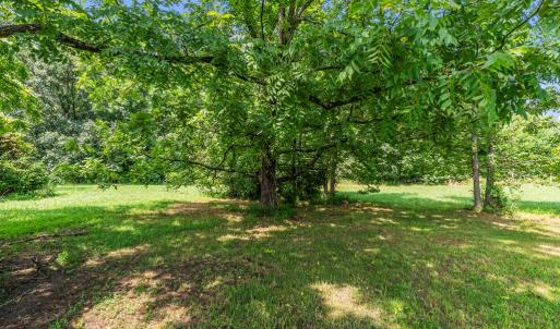 Photo #23 of 115 Buckskin Rd, Green Bay, VA 5.0 acres