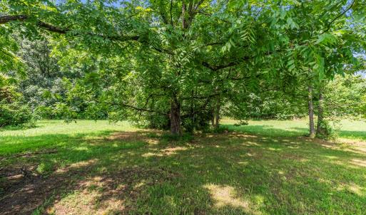 Photo #23 of 115 Buckskin Rd, Green Bay, VA 5.0 acres