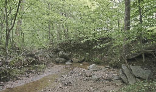 Photo #41 of 302 Thomas Circle, Farmville, VA 0.5 acres