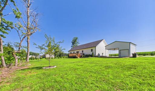Level Backyard with Established Lawn, Fruit Trees, and Plenty of Space for Outdoor Enjoyment.