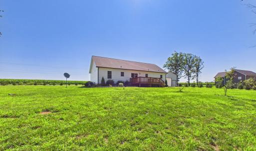 Level Backyard with Established Lawn, Fruit Trees, and Plenty of Space for Outdoor Enjoyment.