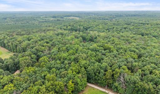 Photo #102 of 372 Hidden Treasure Lane, Pamplin, VA 38.1 acres