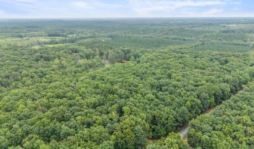 Photo #97 of 372 Hidden Treasure Lane, Pamplin, VA 38.1 acres