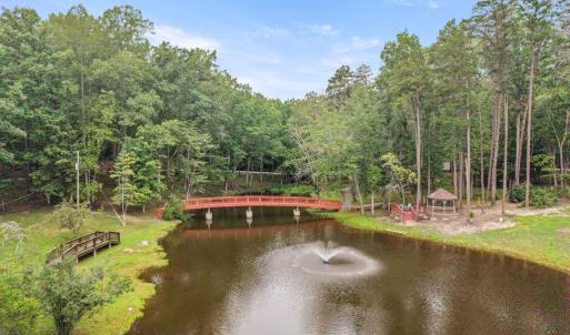 Photo #98 of 372 Hidden Treasure Lane, Pamplin, VA 38.1 acres