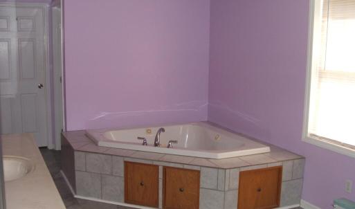 Master bath with garden tub