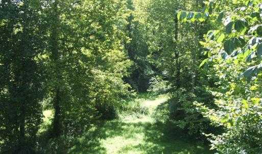 View from rear deck