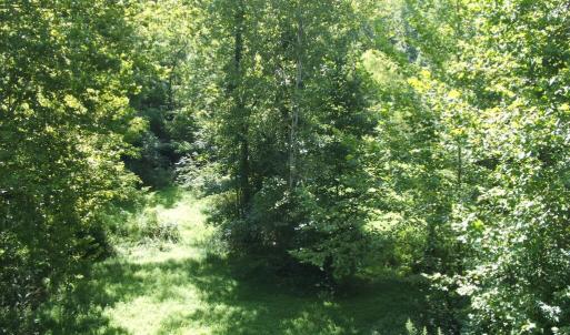 Add'l view from rear deck