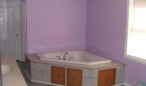 Master bath with garden tub