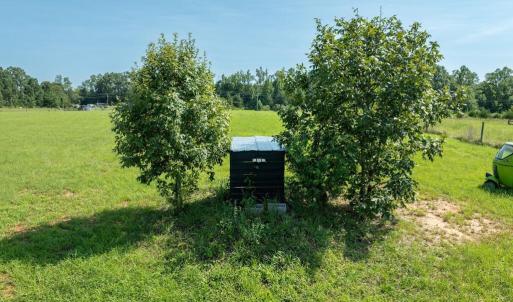 Photo #25 of Harrisburg Road, Randolph, VA 5.0 acres
