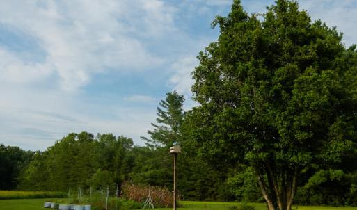 Photo #39 of 2781 Sandy River Rd., Burkeville, VA 10.4 acres