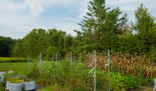 Photo #41 of 2781 Sandy River Rd., Burkeville, VA 10.4 acres