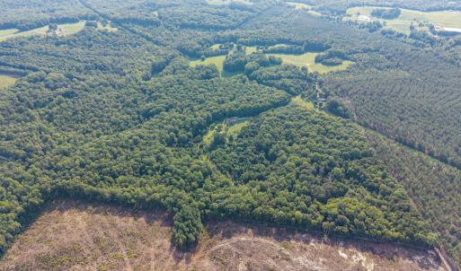 Photo #102 of 327 Rodeo Lane, Dillwyn, VA 75.7 acres
