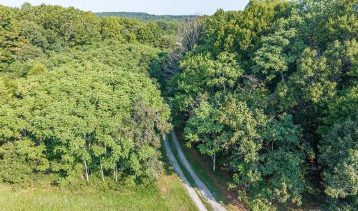Photo #109 of 327 Rodeo Lane, Dillwyn, VA 75.7 acres