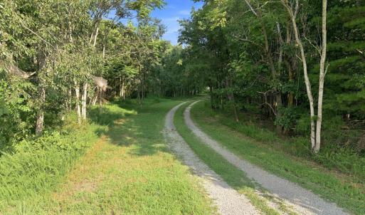 Photo #60 of 327 Rodeo Lane, Dillwyn, VA 75.7 acres