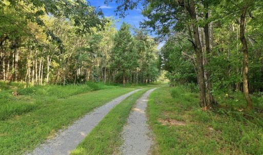 Photo #61 of 327 Rodeo Lane, Dillwyn, VA 75.7 acres
