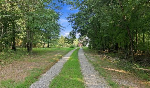 Photo #62 of 327 Rodeo Lane, Dillwyn, VA 75.7 acres