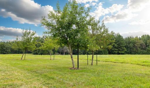 Photo #54 of 2284 Wallaces Bridge Road, Lunenburg, VA 32.0 acres