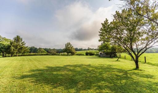 Photo #38 of 648-650 Stone Ridge Rd, Concord, VA 88.2 acres