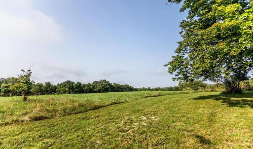 Photo #41 of 648-650 Stone Ridge Rd, Concord, VA 88.2 acres