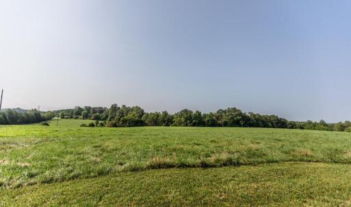 Photo #57 of 648-650 Stone Ridge Rd, Concord, VA 88.2 acres