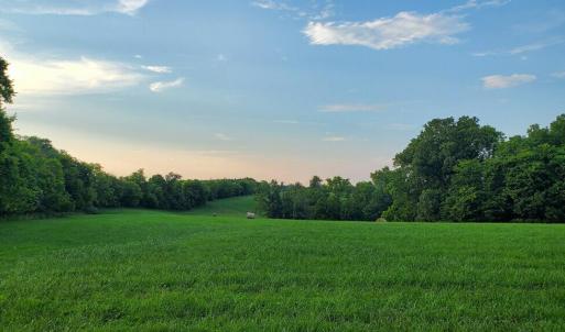 Photo #10 of 542 Ampthill, Cartersville, VA 4.0 acres
