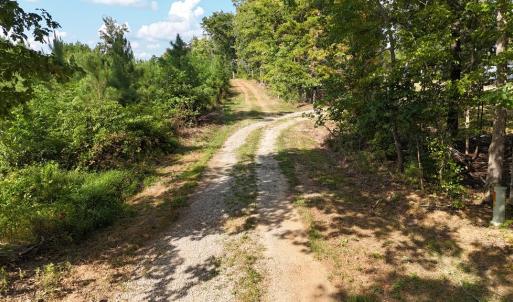 Photo #2 of 250 296 CC LANE, Drakes Branch, VA 23.3 acres
